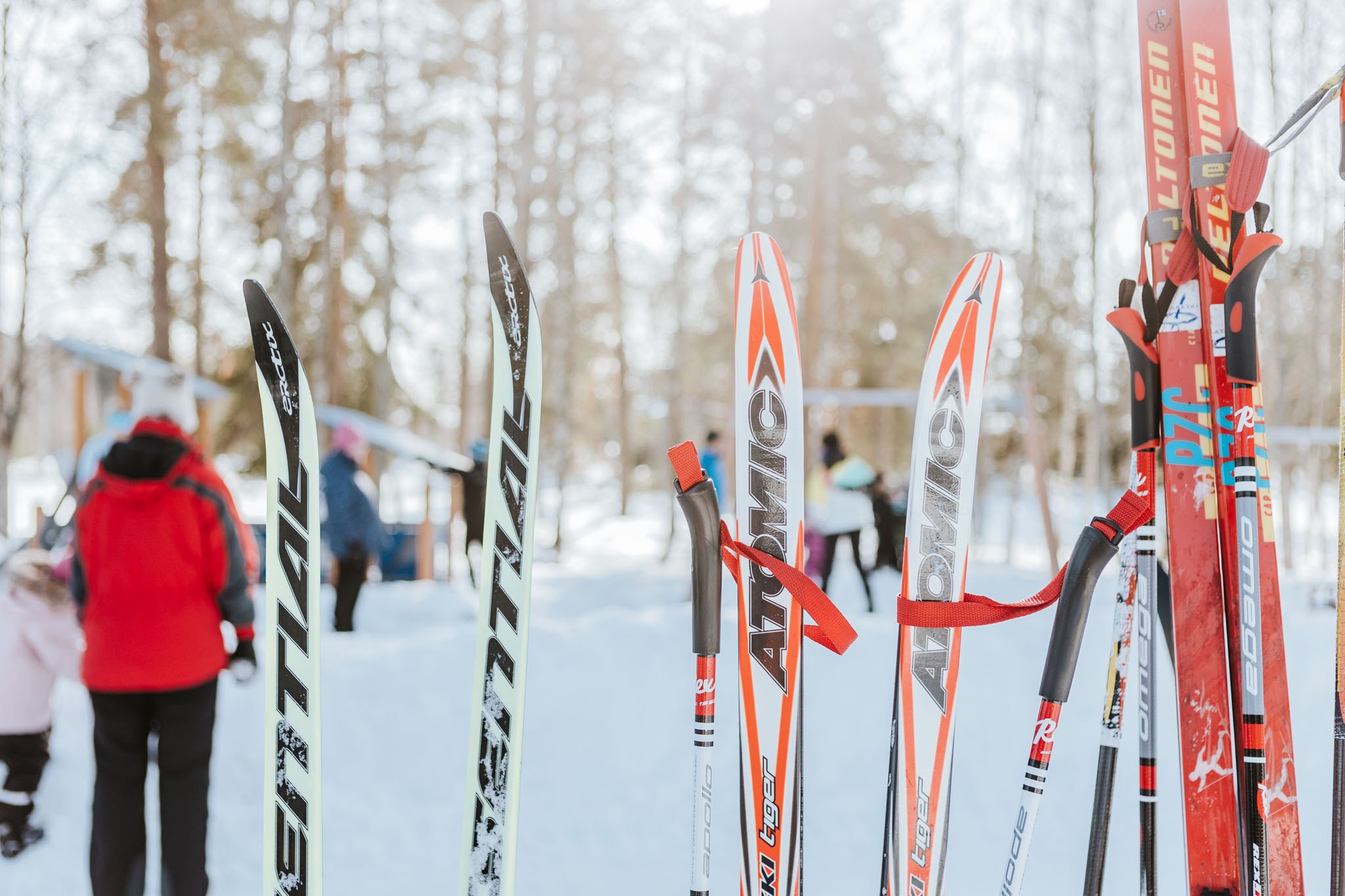 Hangessa suksia rivissä pystyssä